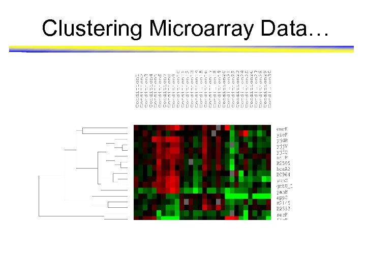 Clustering Microarray Data… 