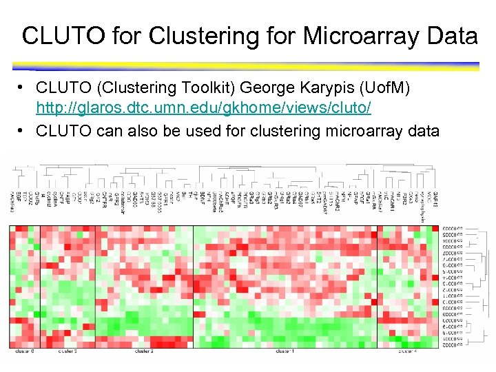 CLUTO for Clustering for Microarray Data • CLUTO (Clustering Toolkit) George Karypis (Uof. M)