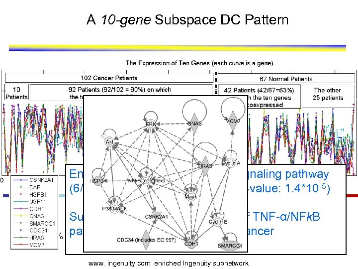 A 10 -gene Subspace DC Pattern Enriched with the TNF-α/NFk. B signaling pathway (6/10