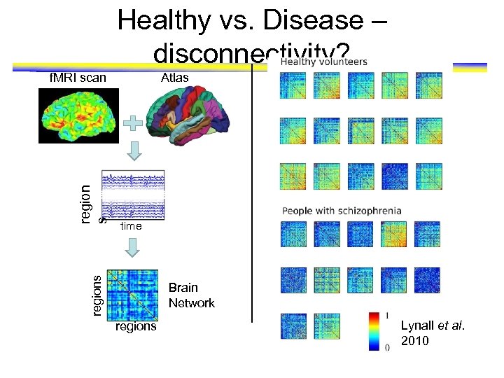 Healthy vs. Disease – disconnectivity? Atlas time regions region s f. MRI scan Brain