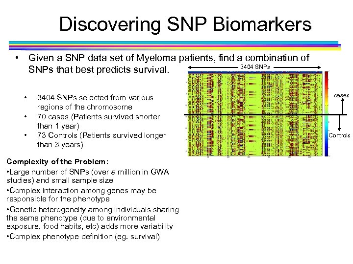 Discovering SNP Biomarkers • Given a SNP data set of Myeloma patients, find a