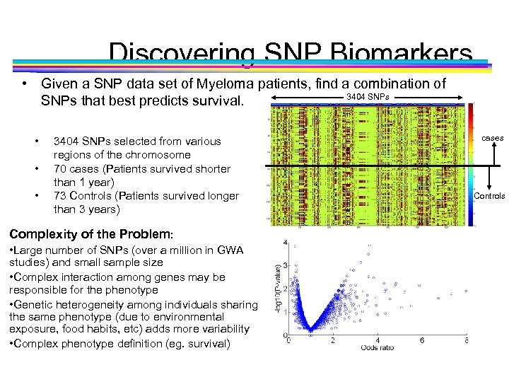 Discovering SNP Biomarkers • Given a SNP data set of Myeloma patients, find a