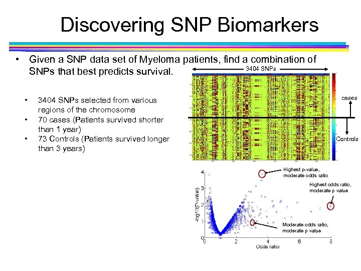 Discovering SNP Biomarkers • Given a SNP data set of Myeloma patients, find a