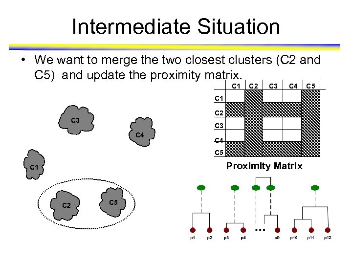 Intermediate Situation • We want to merge the two closest clusters (C 2 and