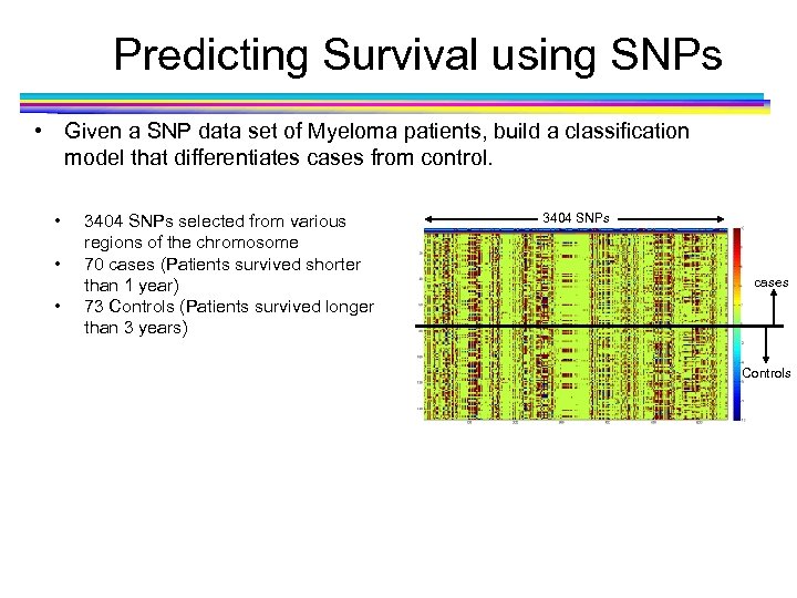 Predicting Survival using SNPs • Given a SNP data set of Myeloma patients, build