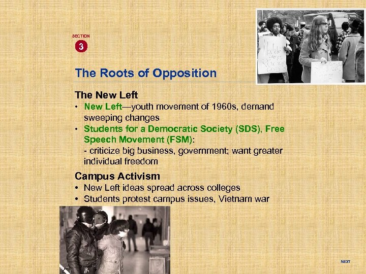 SECTION 3 The Roots of Opposition The New Left • New Left—youth movement of