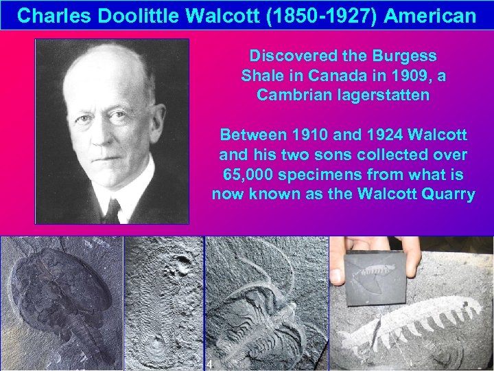 Charles Doolittle Walcott (1850 -1927) American Discovered the Burgess Shale in Canada in 1909,