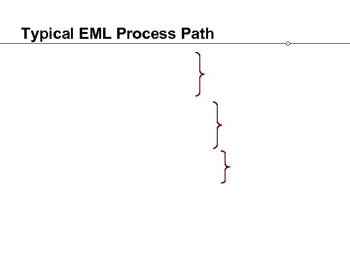 Typical EML Process Path 