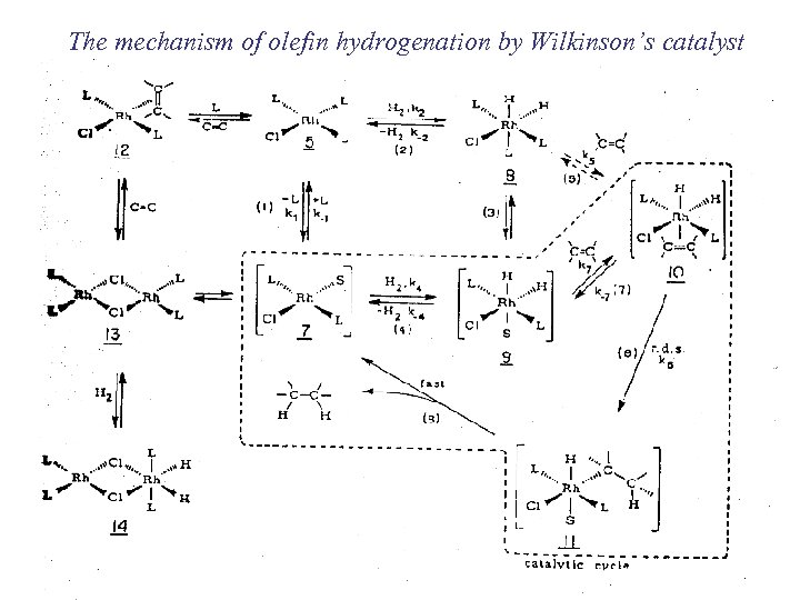 The mechanism of olefin hydrogenation by Wilkinson’s catalyst 
