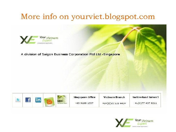 More info on yourviet. blogspot. com • To import SBC-YVE Higher Education services 