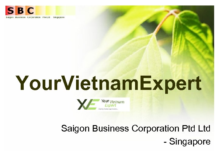 Your. Vietnam. Expert Saigon Business Corporation Ptd Ltd - Singapore 