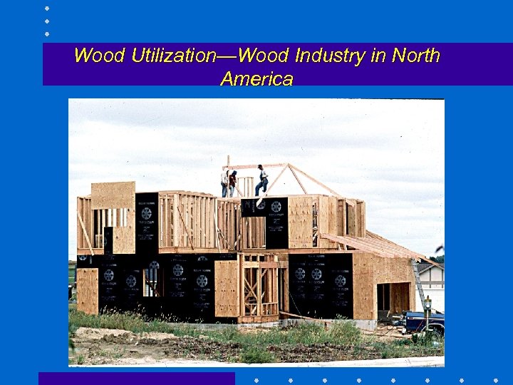 Wood Utilization—Wood Industry in North America 