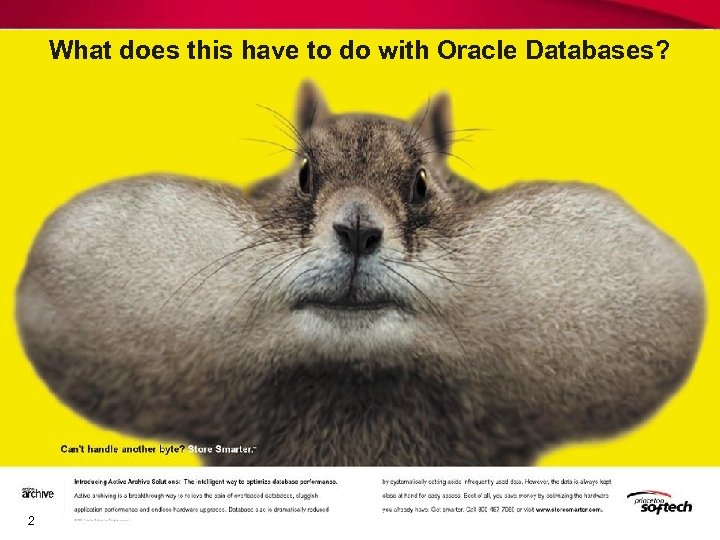 What does this have to do with Oracle Databases? 2 