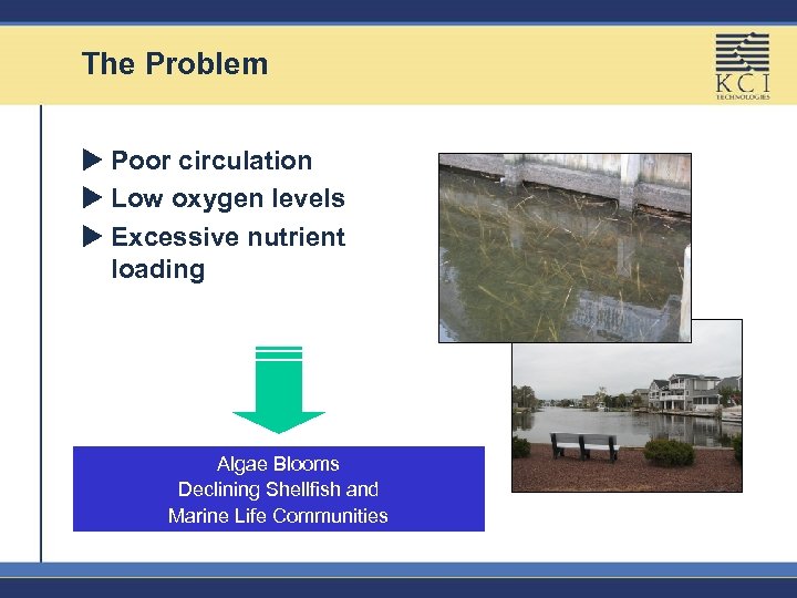 The Problem u Poor circulation u Low oxygen levels u Excessive nutrient loading Algae