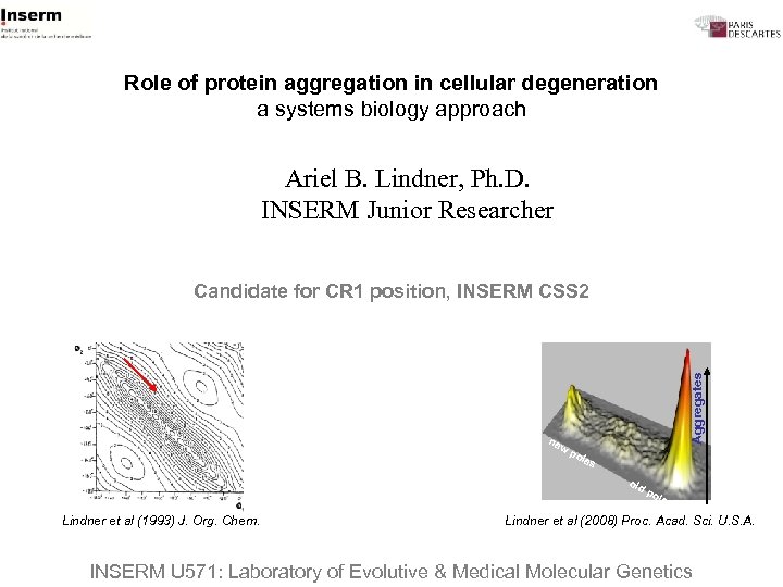 Role of protein aggregation in cellular degeneration a systems biology approach Ariel B. Lindner,