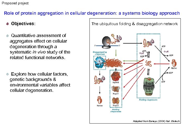 Proposed project Role of protein aggregation in cellular degeneration: a systems biology approach Objectives: