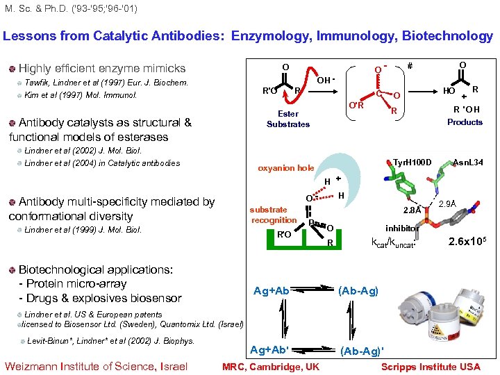 M. Sc. & Ph. D. ('93 -'95; '96 -'01) Lessons from Catalytic Antibodies: Enzymology,