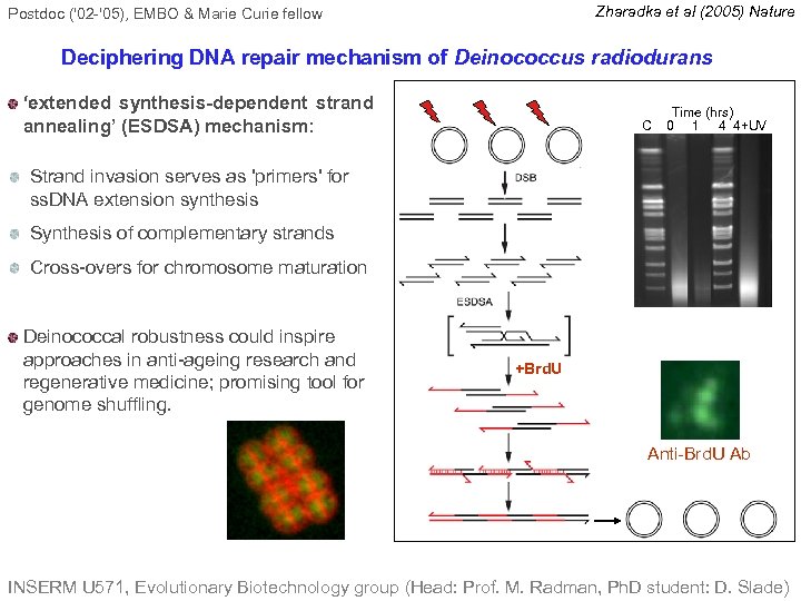 Zharadka et al (2005) Nature Postdoc ('02 -'05), EMBO & Marie Curie fellow Deciphering