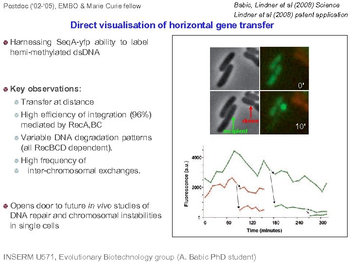 Postdoc ('02 -'05), EMBO & Marie Curie fellow Babic, Lindner et al (2008) Science