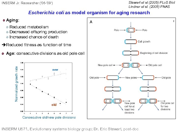 INSERM Jr. Researcher ('06 -'09') Stewart et al (2005) PLo. S Biol Lindner et
