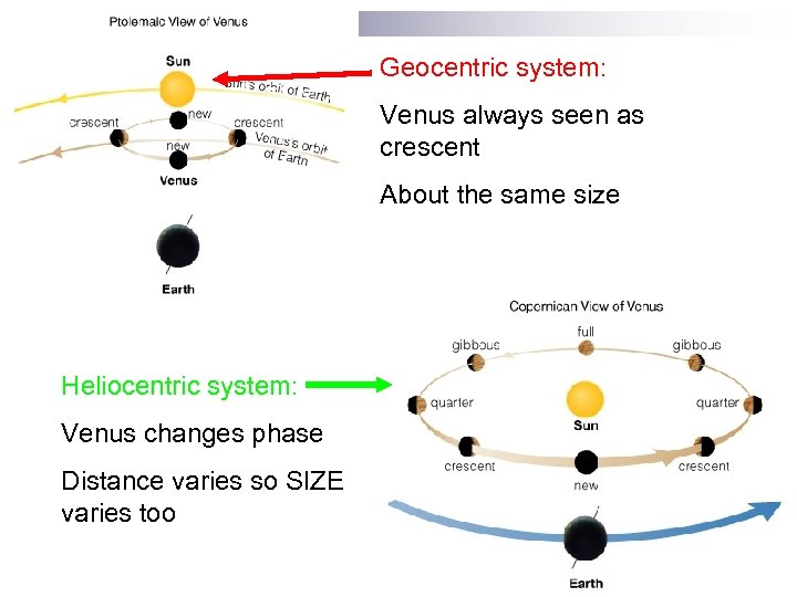 Geocentric system: Venus always seen as crescent About the same size Heliocentric system: Venus