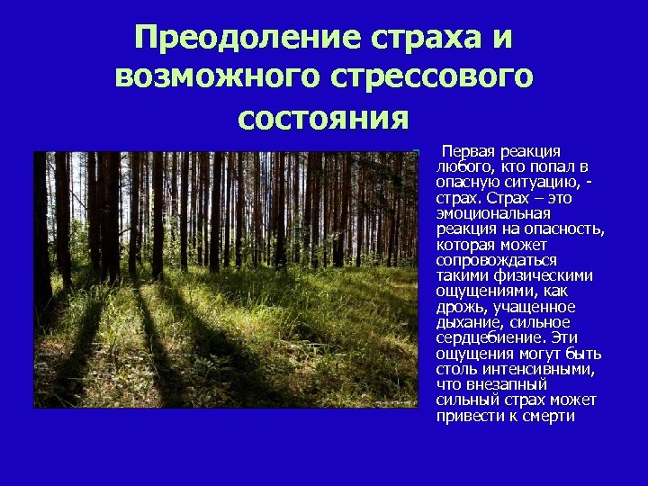 Проблема преодоления страха. Преодоление страха. Преодоление страха в условиях автономного существования. Преодоление страха и стрессового состояния в автономной ситуации.