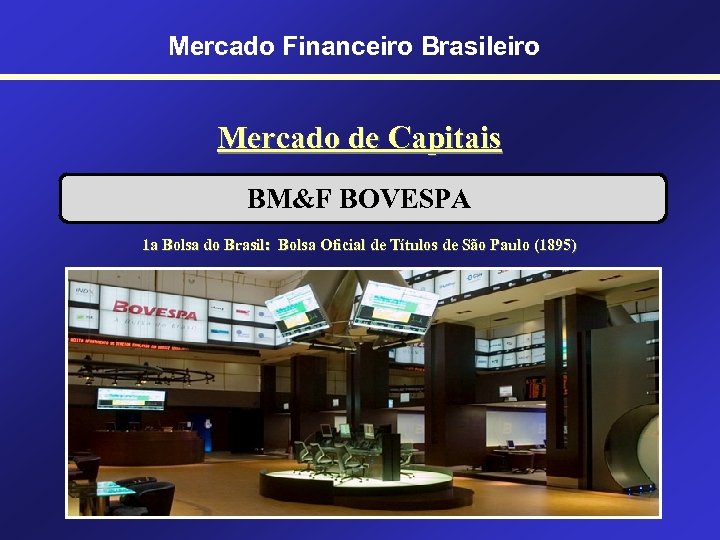 Mercado Financeiro Brasileiro Mercado de Capitais BM&F BOVESPA 1 a Bolsa do Brasil: Bolsa