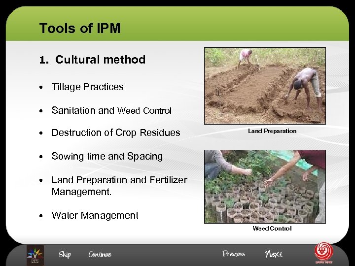 Tools of IPM 1. Cultural method • Tillage Practices • Sanitation and Weed Control