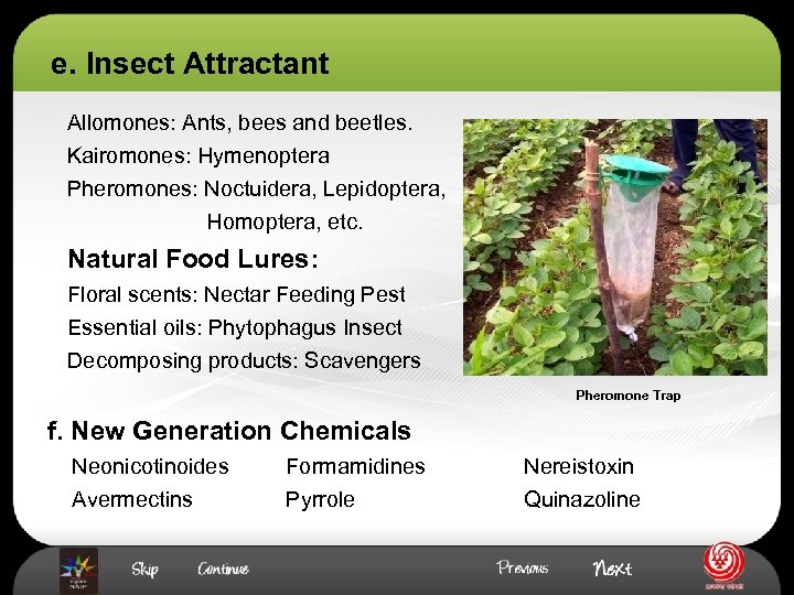 e. Insect Attractant Allomones: Ants, bees and beetles. Kairomones: Hymenoptera Pheromones: Noctuidera, Lepidoptera, Homoptera,