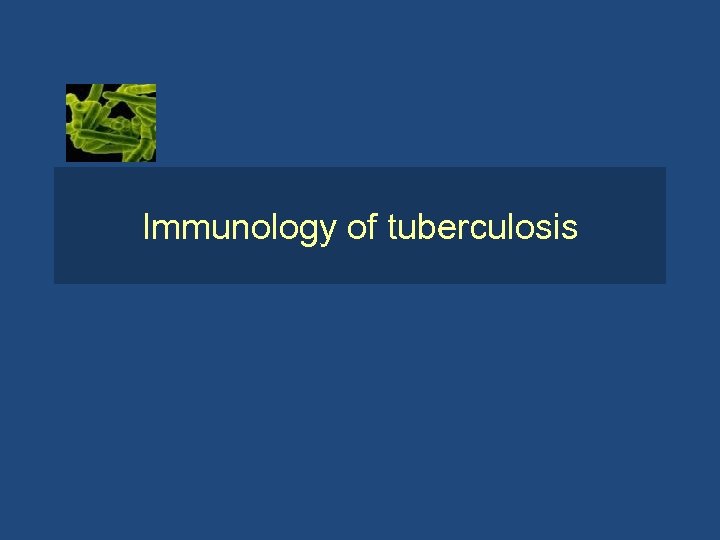 Immunology of tuberculosis 