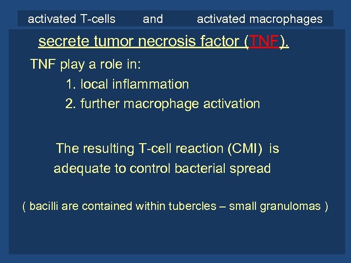 activated T-cells and activated macrophages secrete tumor necrosis factor (TNF). TNF play a role