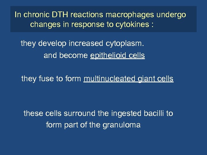 In chronic DTH reactions macrophages undergo changes in response to cytokines : they develop