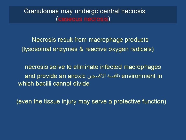 Granulomas may undergo central necrosis (caseous necrosis) Necrosis result from macrophage products (lysosomal enzymes