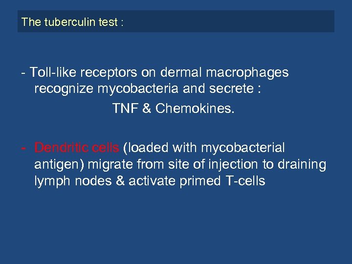 The tuberculin test : - Toll-like receptors on dermal macrophages recognize mycobacteria and secrete