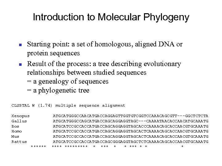 Introduction to Molecular Phylogeny Starting point: a set of homologous, aligned DNA or protein