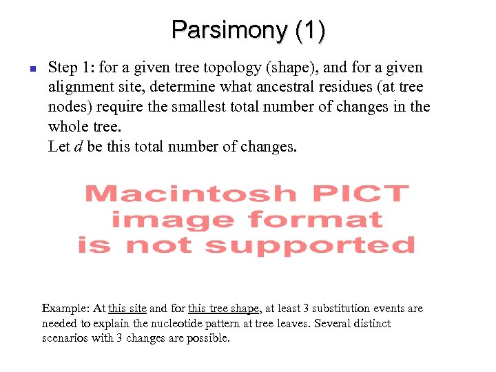 Parsimony (1) Step 1: for a given tree topology (shape), and for a given