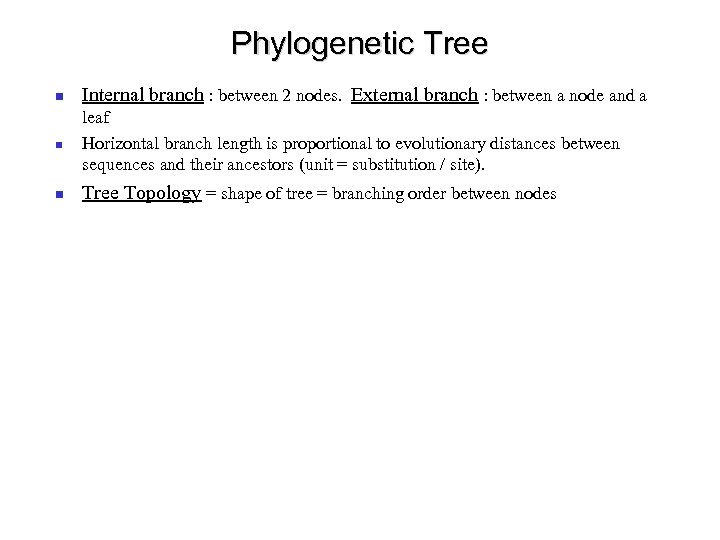Phylogenetic Tree Internal branch : between 2 nodes. External branch : between a node