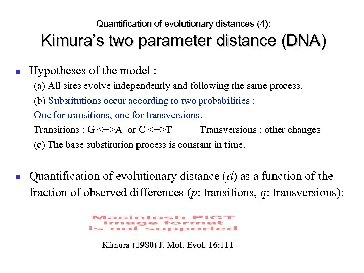 Quantification of evolutionary distances (4): Kimura’s two parameter distance (DNA) Hypotheses of the model