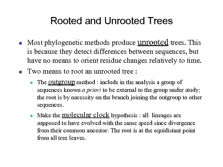 Rooted and Unrooted Trees Most phylogenetic methods produce unrooted trees. This is because they