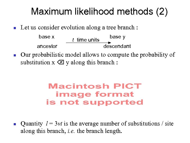 Maximum likelihood methods (2) Let us consider evolution along a tree branch : base