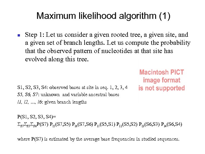 Maximum likelihood algorithm (1) Step 1: Let us consider a given rooted tree, a