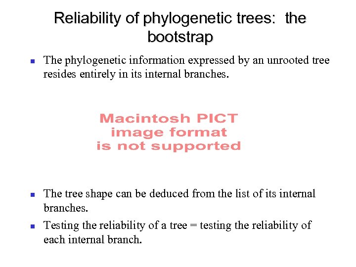 Reliability of phylogenetic trees: the bootstrap The phylogenetic information expressed by an unrooted tree
