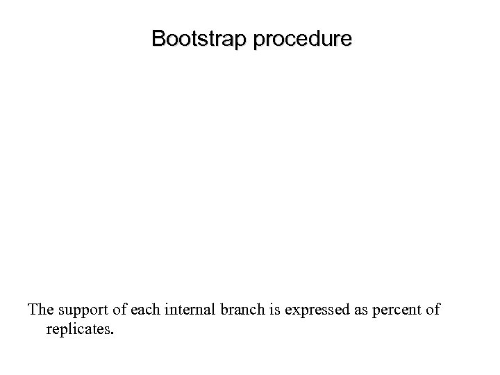 Bootstrap procedure The support of each internal branch is expressed as percent of replicates.