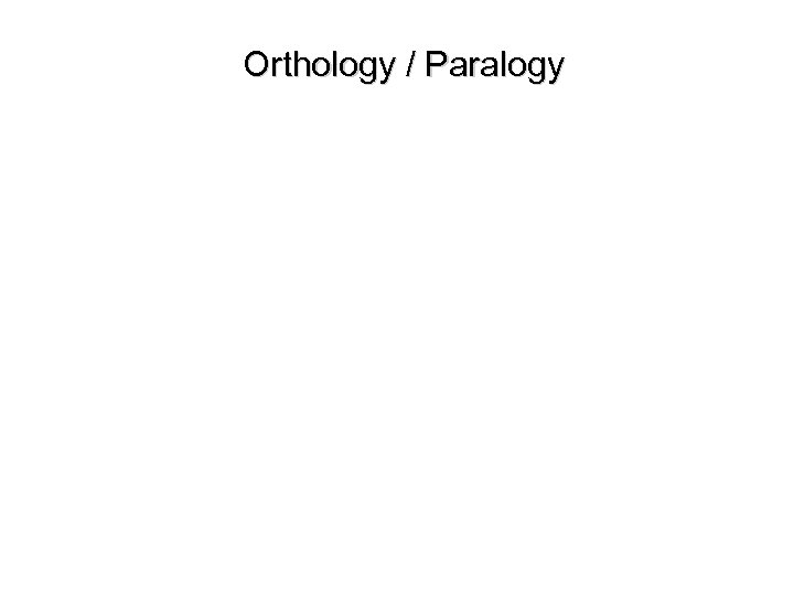 Orthology / Paralogy 