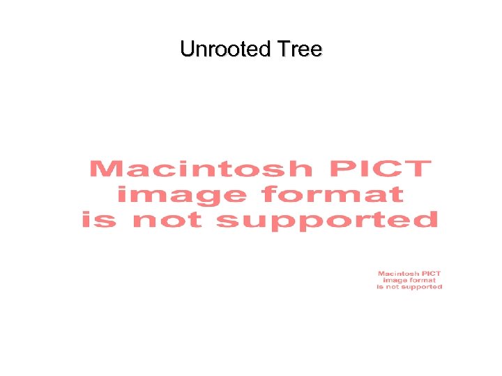 Unrooted Tree 
