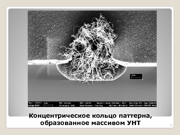 Концентрическое кольцо паттерна, образованное массивом УНТ 4 