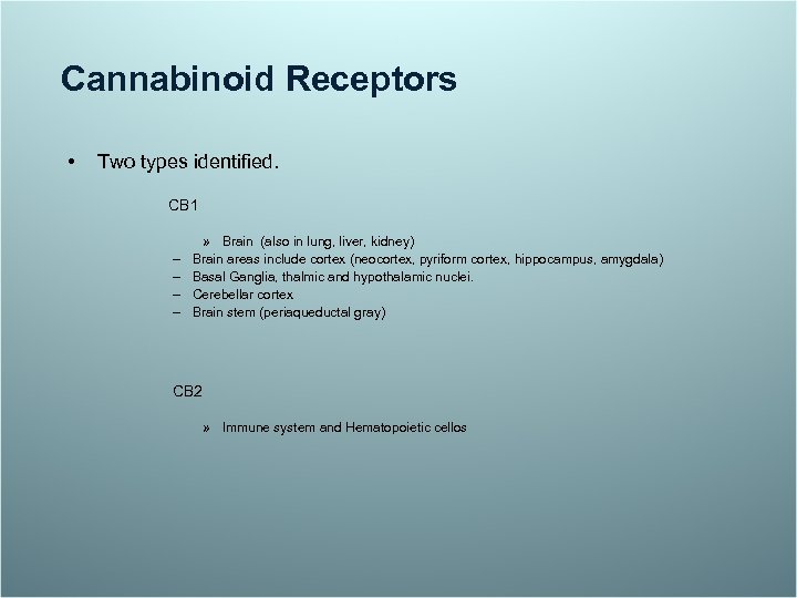 Cannabinoid Receptors • Two types identified. CB 1 – – » Brain (also in