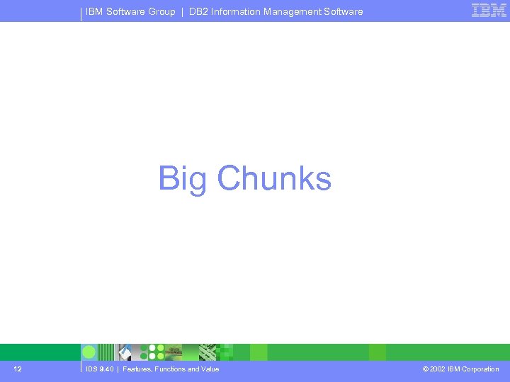 IBM Software Group | DB 2 Information Management Software Big Chunks 12 IDS 9.