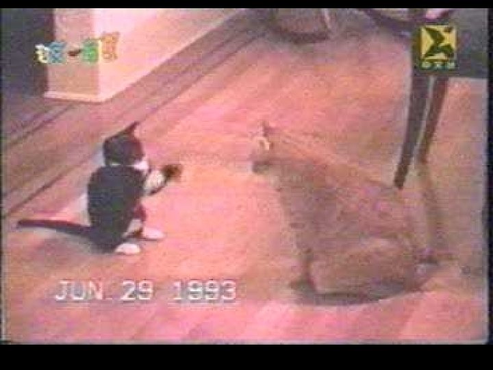 How was the first day? 