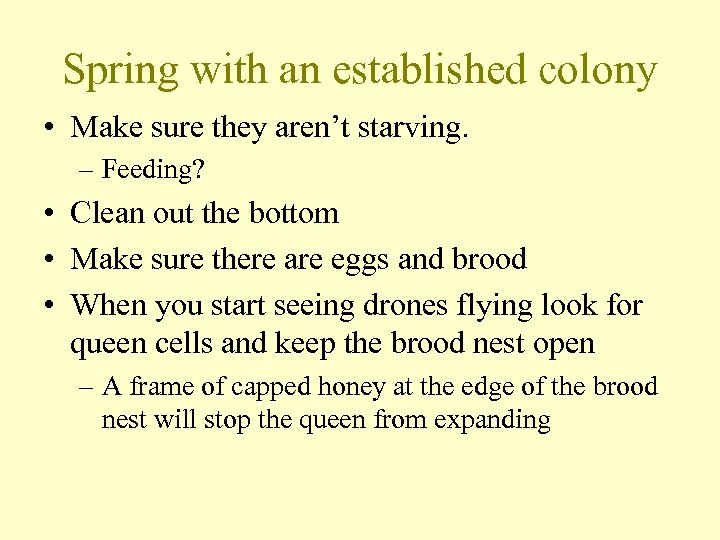 Spring with an established colony • Make sure they aren’t starving. – Feeding? •